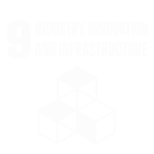 SDG 9 — Industry, Innovation & Infrastructure